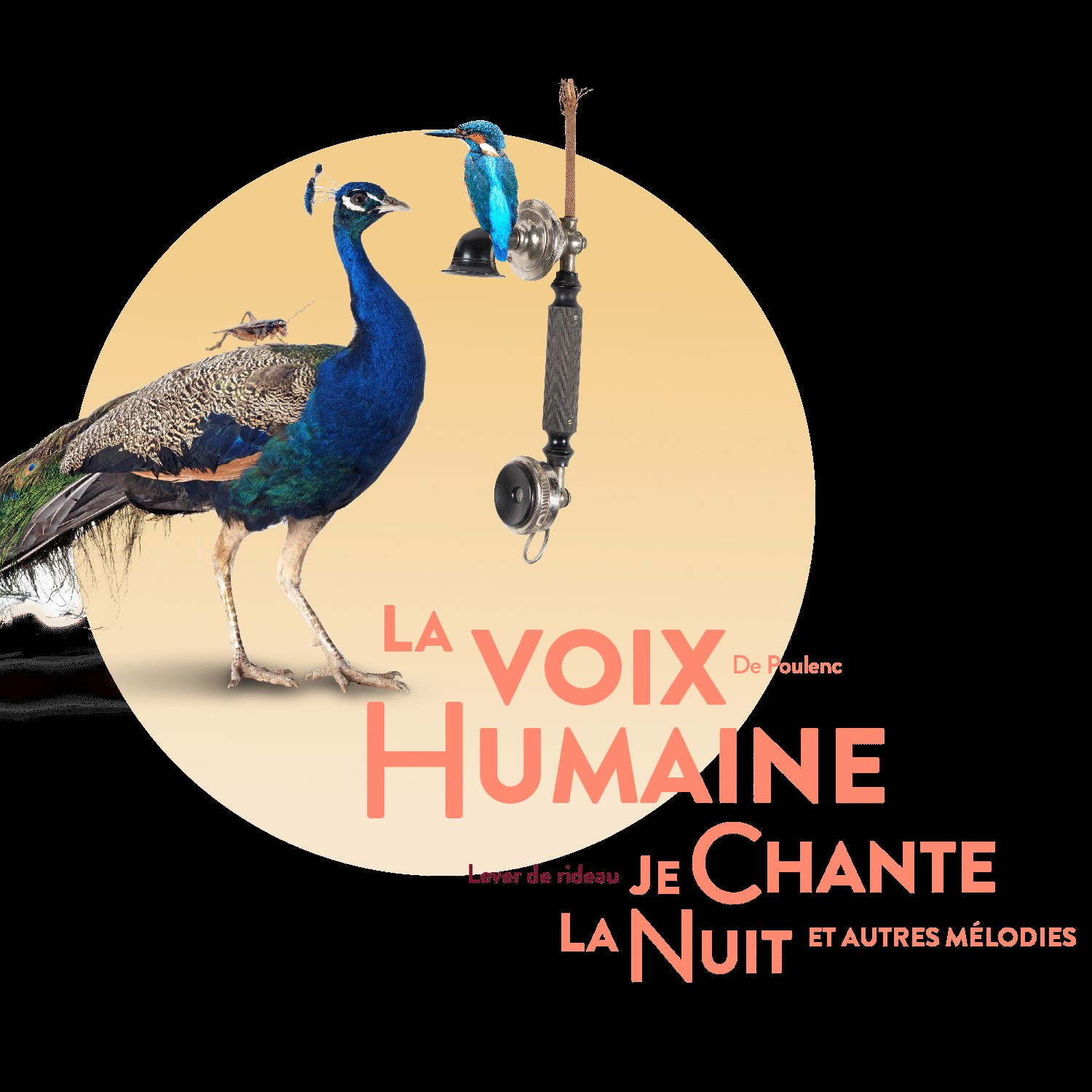 voix-humaine-titre